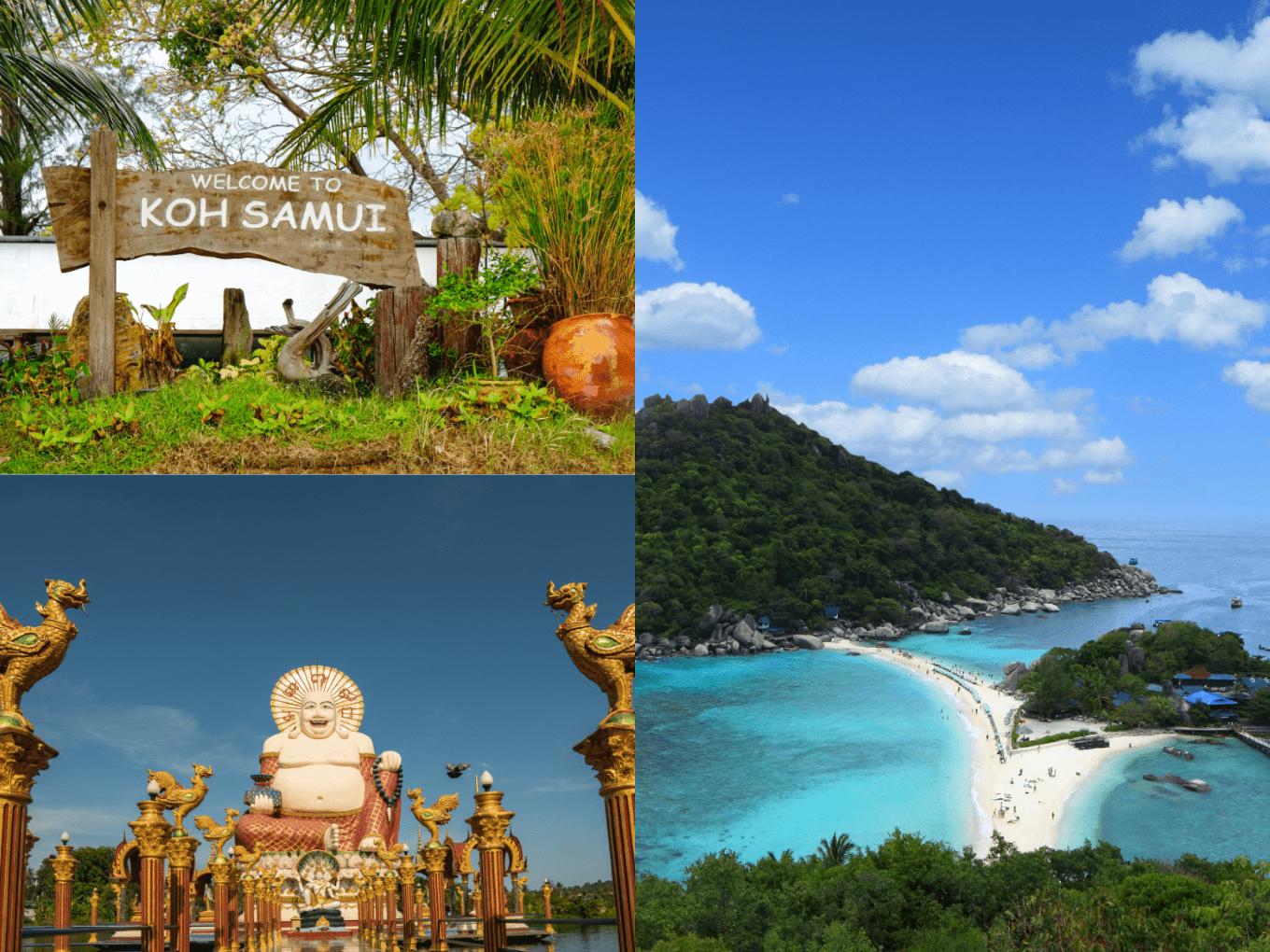 ที่เที่ยว ปีใหม่ (1).png